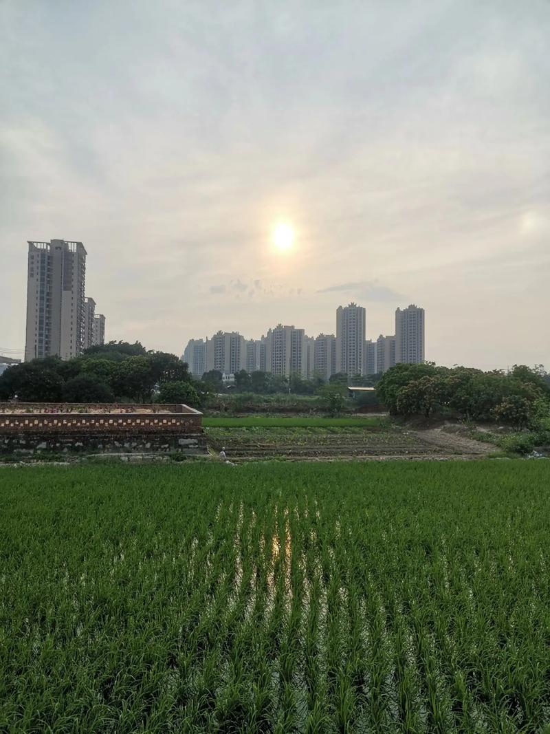 空置的商品房 珠海最大房地产开发商的出租之困